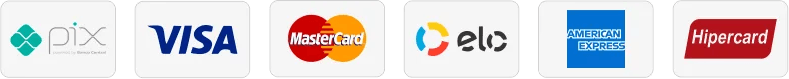 Pix, Visa, Mastercard, Elo, American Express e Hipercard